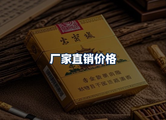 专业团队办公环境